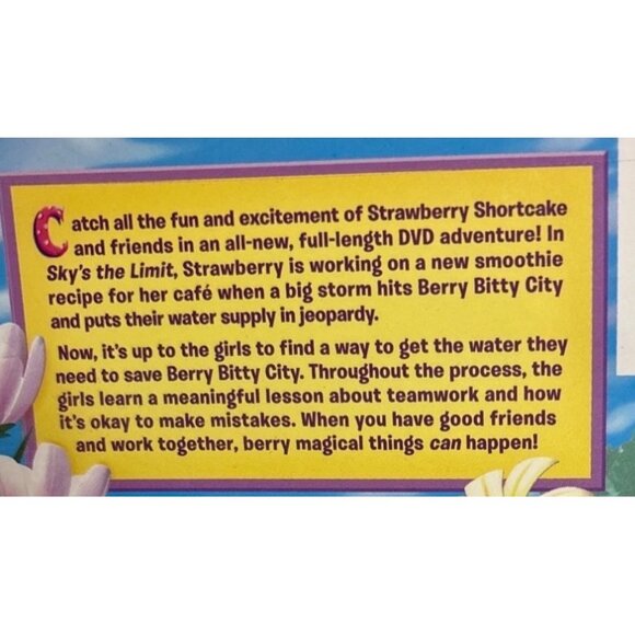 The Strawberry Shortcake DVD Skys The Limit 2009 Movie - Picture 4 of 6